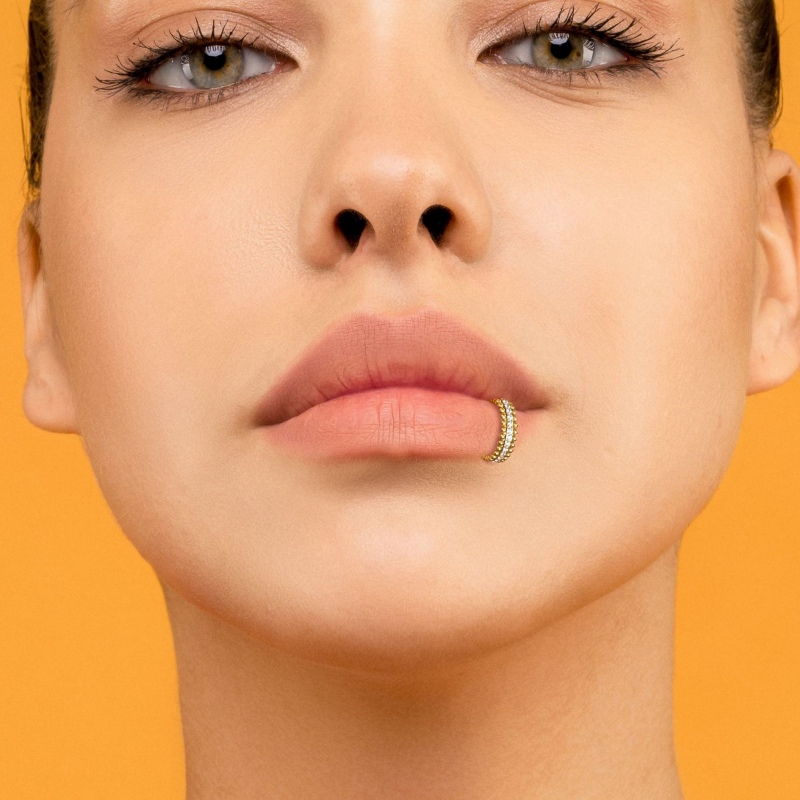 Hinged Segment Hoop(图1)