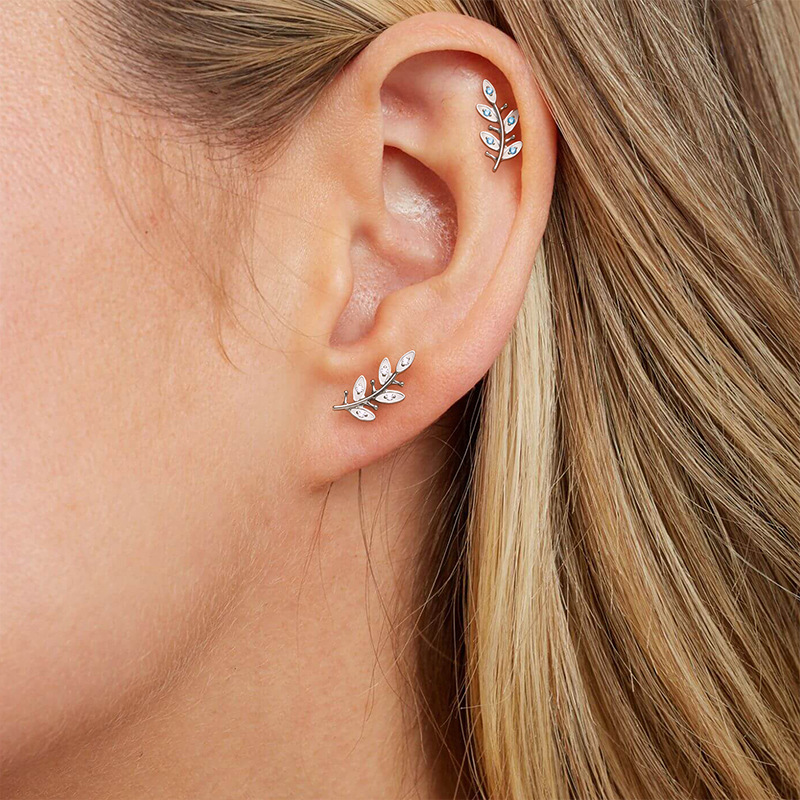 2026010312111580 2026010312111580